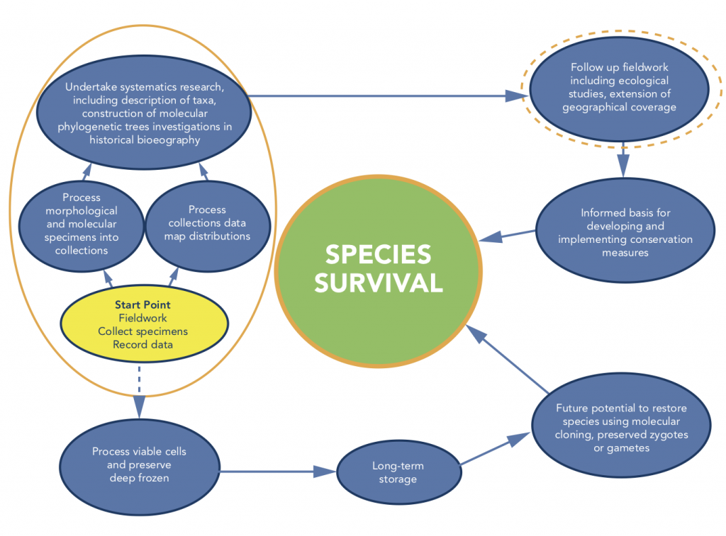 Diagram

Description automatically generated