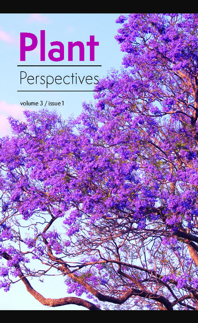 Decorative image showing a tree laden with pink flowers, as the cover the 'Plant Perspectives' issue 3.1.