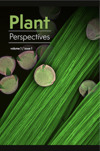 Journal cover with vegetation design